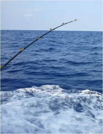 釣行メニューマグロキャスティング