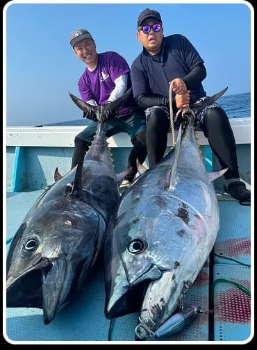 釣果情報マグロ